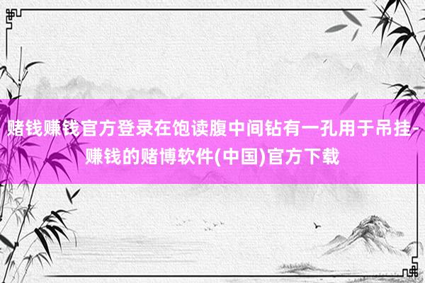 赌钱赚钱官方登录在饱读腹中间钻有一孔用于吊挂-赚钱的赌博软件(中国)官方下载