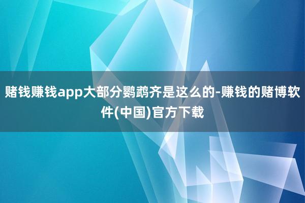 赌钱赚钱app大部分鹦鹉齐是这么的-赚钱的赌博软件(中国)官方下载
