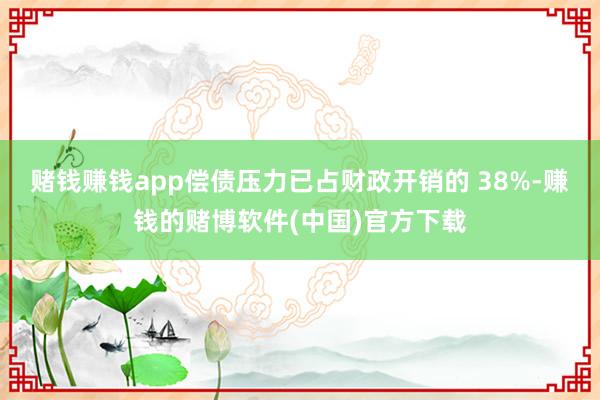 赌钱赚钱app偿债压力已占财政开销的 38%-赚钱的赌博软件(中国)官方下载