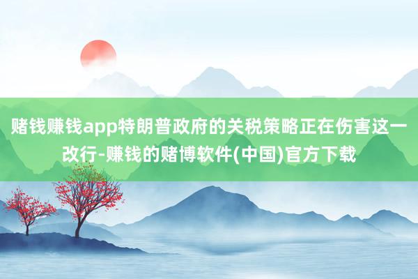 赌钱赚钱app特朗普政府的关税策略正在伤害这一改行-赚钱的赌