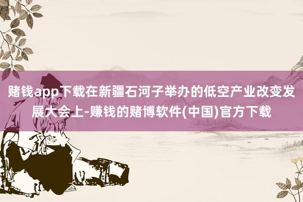 赌钱app下载在新疆石河子举办的低空产业改变发展大会上-赚钱