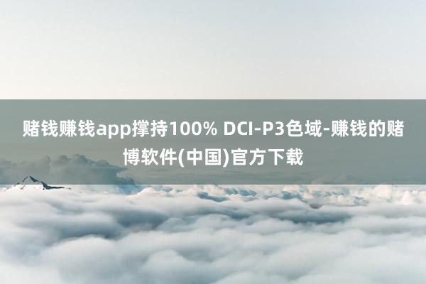 赌钱赚钱app撑持100% DCI-P3色域-赚钱的赌博软件