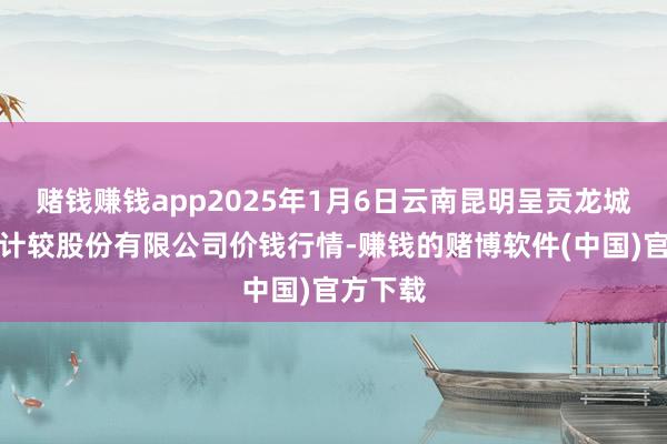 赌钱赚钱app2025年1月6日云南昆明呈贡龙城农产物计较股