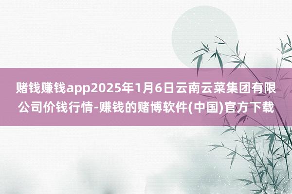 赌钱赚钱app2025年1月6日云南云菜集团有限公司价钱行情